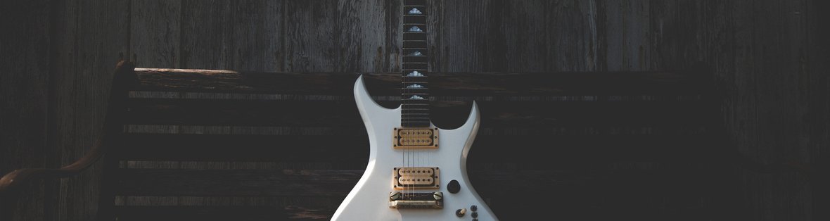 Bernie Rico Junior | The Music Zoo