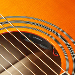 Epiphone Dove Pro Acoustic Violinburst | The Music Zoo