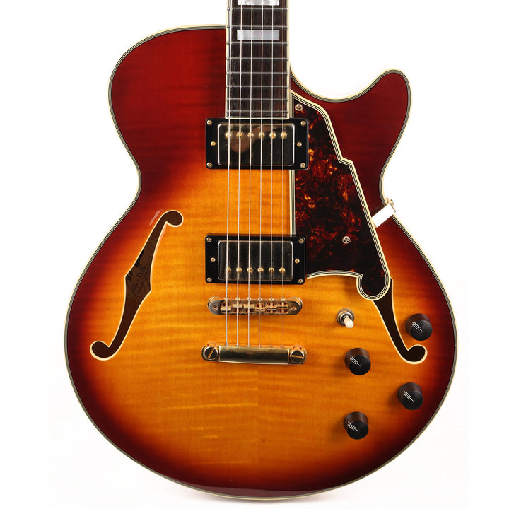 D'Angelico Excel SS Iced Tea Burst 2016