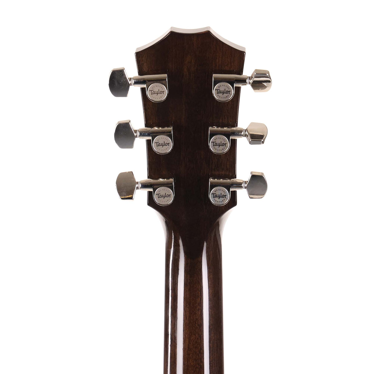 Taylor T5z Pro Grapevine Burst 2018 — 7