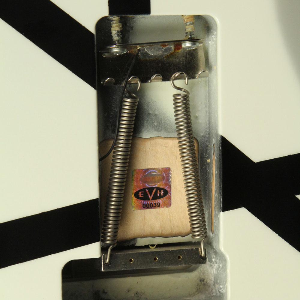 Charvel EVH Art Series Atlanta, Georgia Black & White 2004 — 8