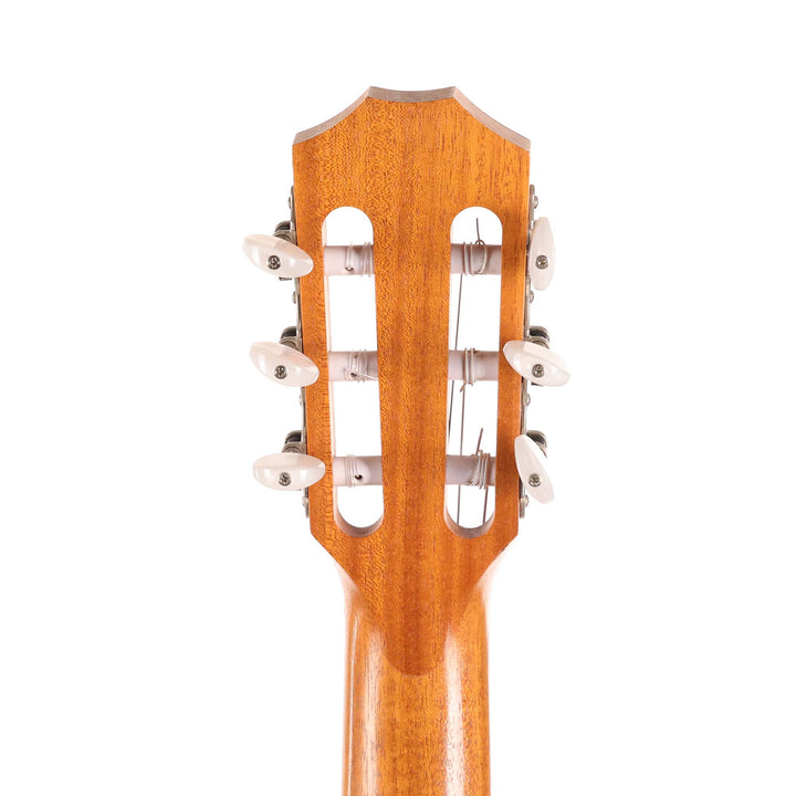 Taylor NS24e-G Nylon-String Acoustic-Electric 2010