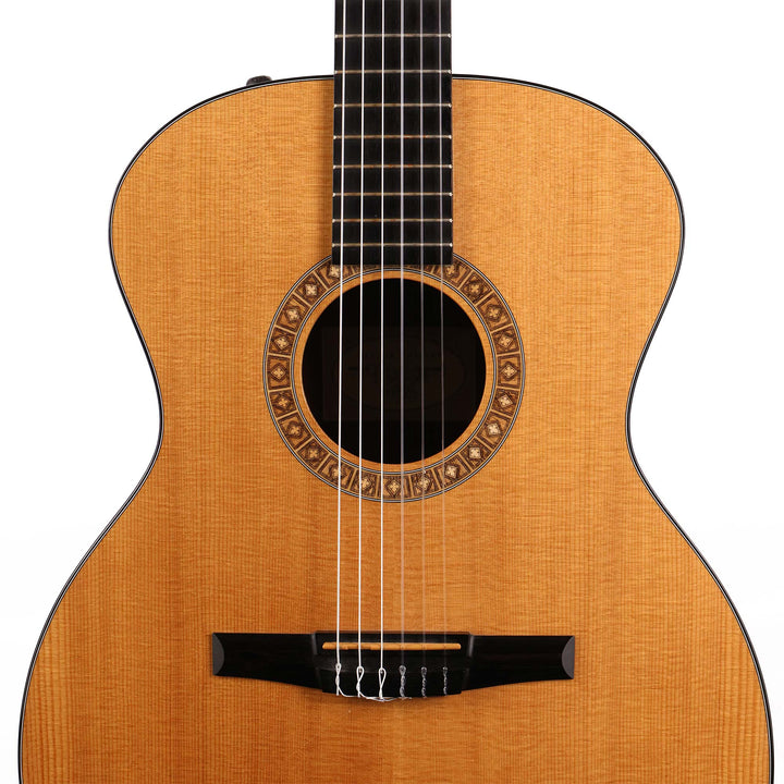 Taylor NS24e-G Nylon-String Acoustic-Electric 2010