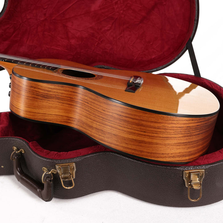 Taylor NS24e-G Nylon-String Acoustic-Electric 2010