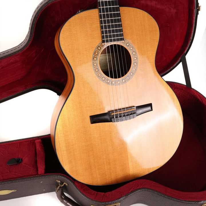 Taylor NS24e-G Nylon-String Acoustic-Electric 2010