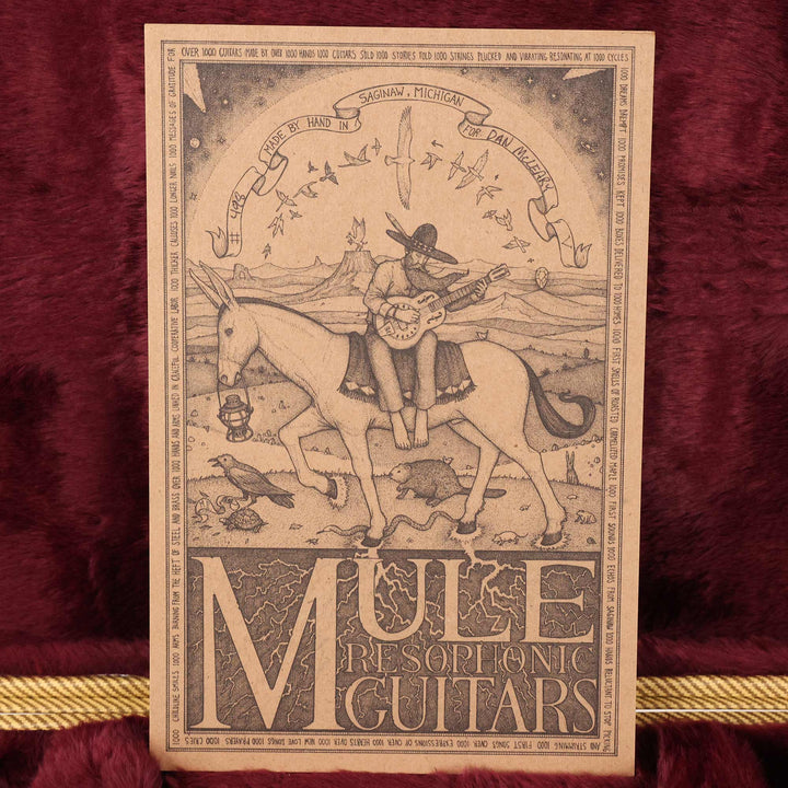 Mule Resophonic Mulecaster Raw Steel Used