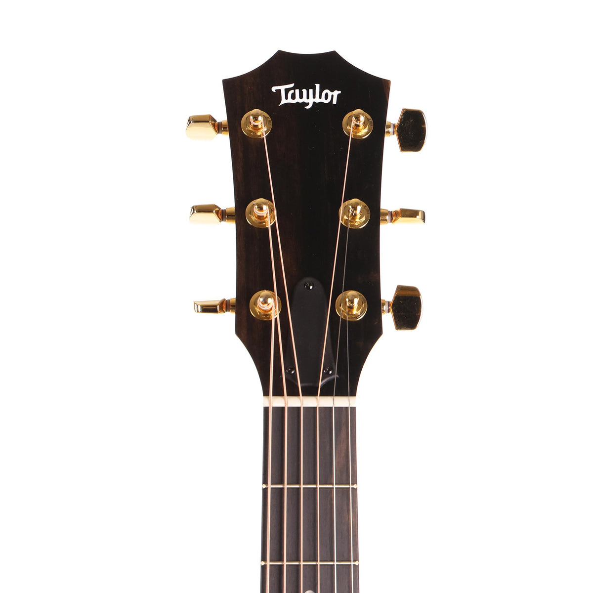 Taylor 224ce-K DLX Koa Acoustic-Electric Shaded Edgeburst — 8