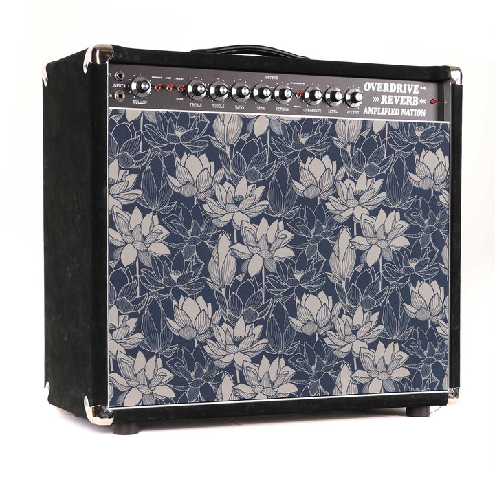 Amplified Nation Overdrive Reverb 1x12 Combo Amplifier Local Pickup Only