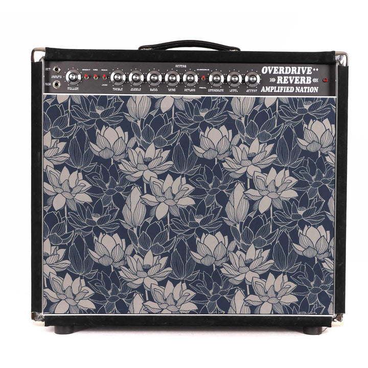 Amplified Nation Overdrive Reverb 1x12 Combo Amplifier Local Pickup Only