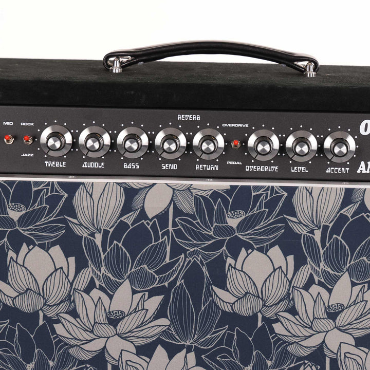 Amplified Nation Overdrive Reverb 1x12 Combo Amplifier Local Pickup Only