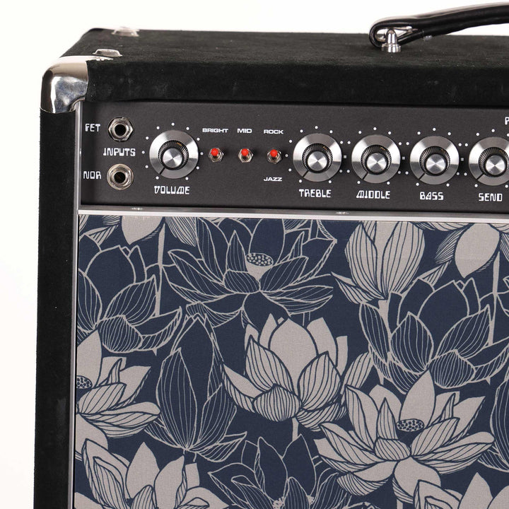 Amplified Nation Overdrive Reverb 1x12 Combo Amplifier Local Pickup Only