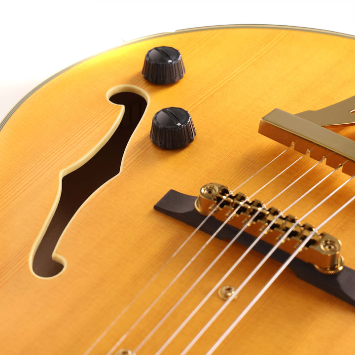 Ibanez Pat Metheny Signature PM3C Natural Amber Low Gloss 2024