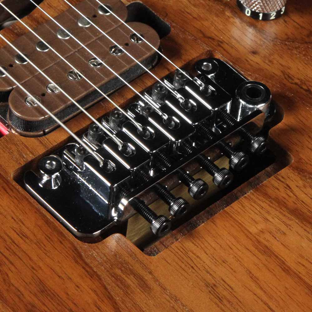 Charvel Guthrie Govan Signature HSH Caramelized Ash Natural 2016 — 5