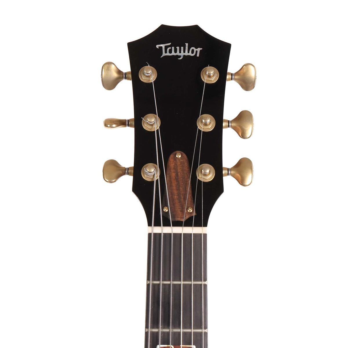 Taylor T5z Custom LTD with Macassar Ebony Top 2018 — 12