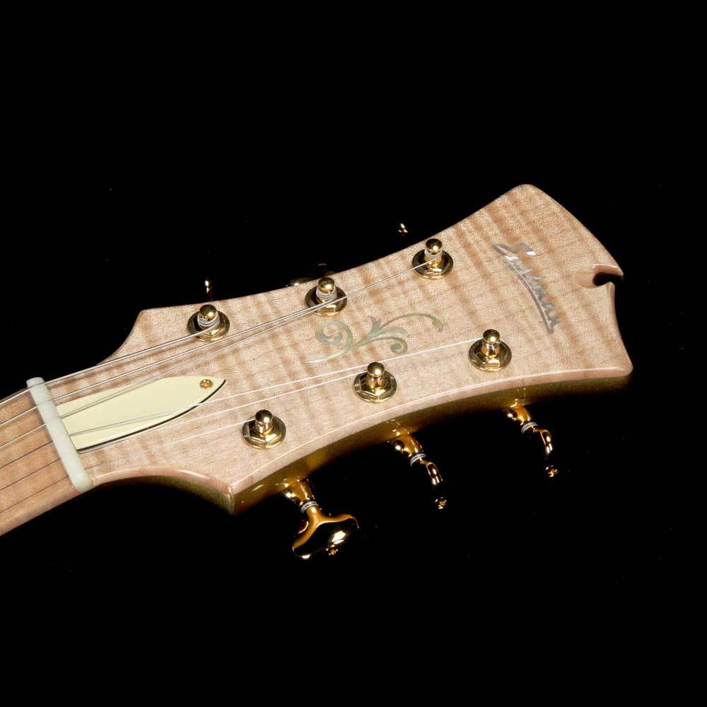 Eastman Custom El Rey 3 Jazz Guitar Gold Top — 4