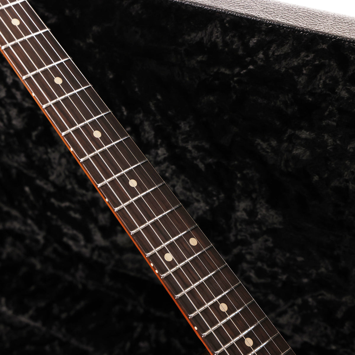 Tom Anderson Bobcat Cub Sparkle Silver to Starry Night Black 2025 — 11