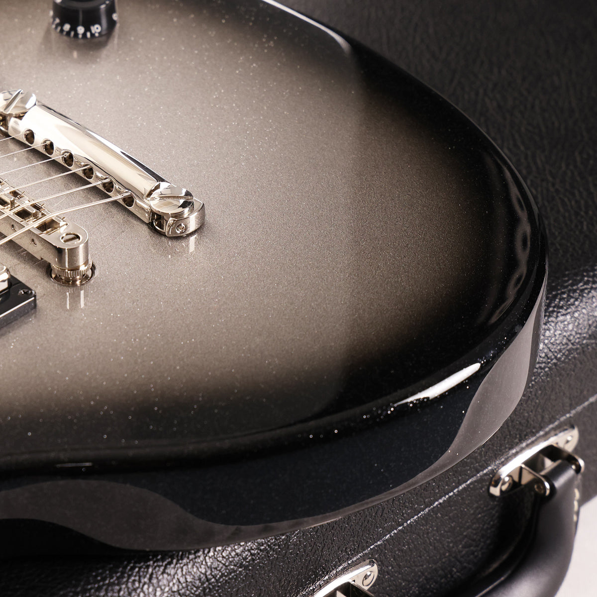 Tom Anderson Bobcat Cub Sparkle Silver to Starry Night Black 2025 — 8