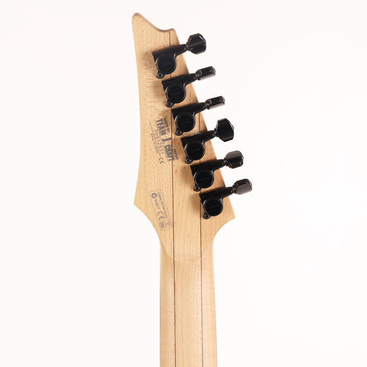 Ibanez PGM401-TFB Paul Gilbert Signature Tri Fade Burst 2009