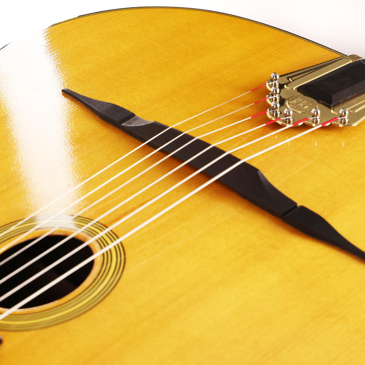 Stringphonic Advanced Guitar Brazilian Rosewood Natural Used