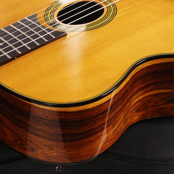Stringphonic Advanced Guitar Brazilian Rosewood Natural Used