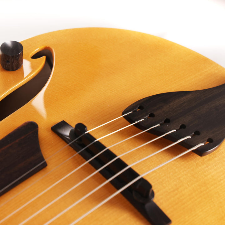 Benedetto Andy Guitar Hollowbody Honeyblonde and Espresso