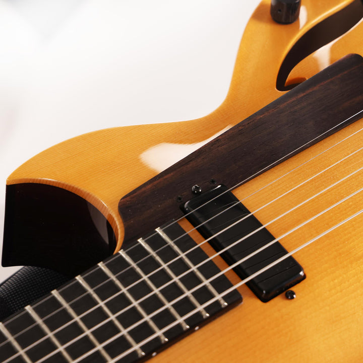 Benedetto Andy Guitar Hollowbody Honeyblonde and Espresso