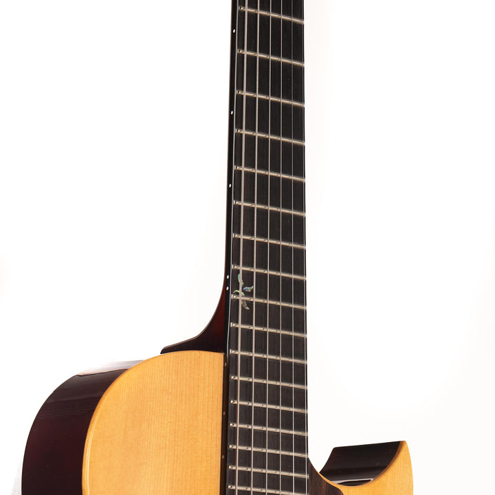 Benedetto Andy Guitar Hollowbody Honeyblonde and Espresso