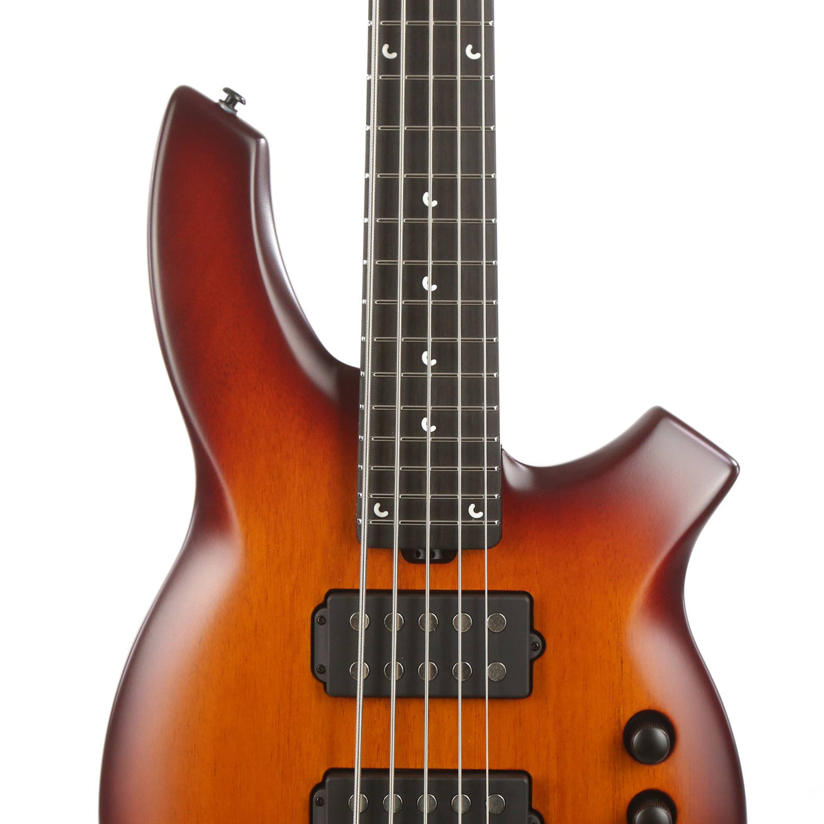 Ernie Ball Music Man BFR Bongo Bass 5-String Satin Honey Burst — 6