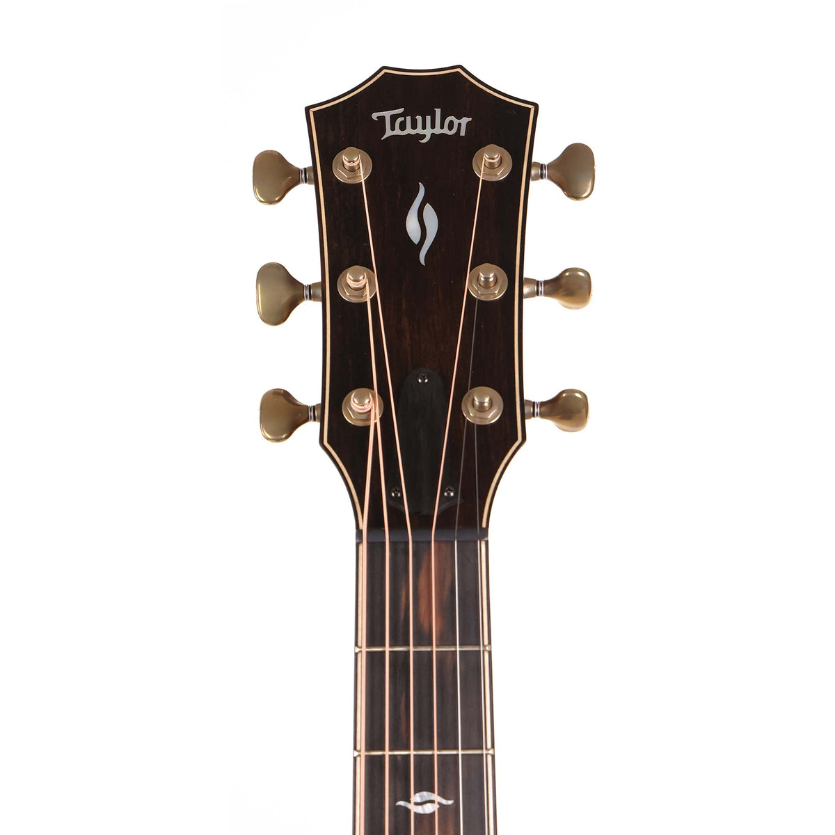 Taylor Builder's Edition 816ce Acoustic-Electric — 7