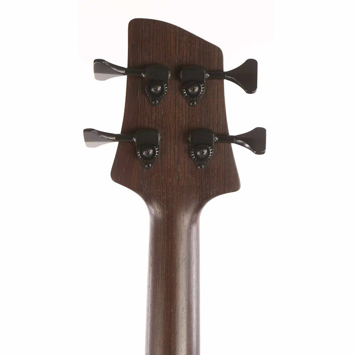 Elrick E-volution 4-String Bass Flame Maple Top