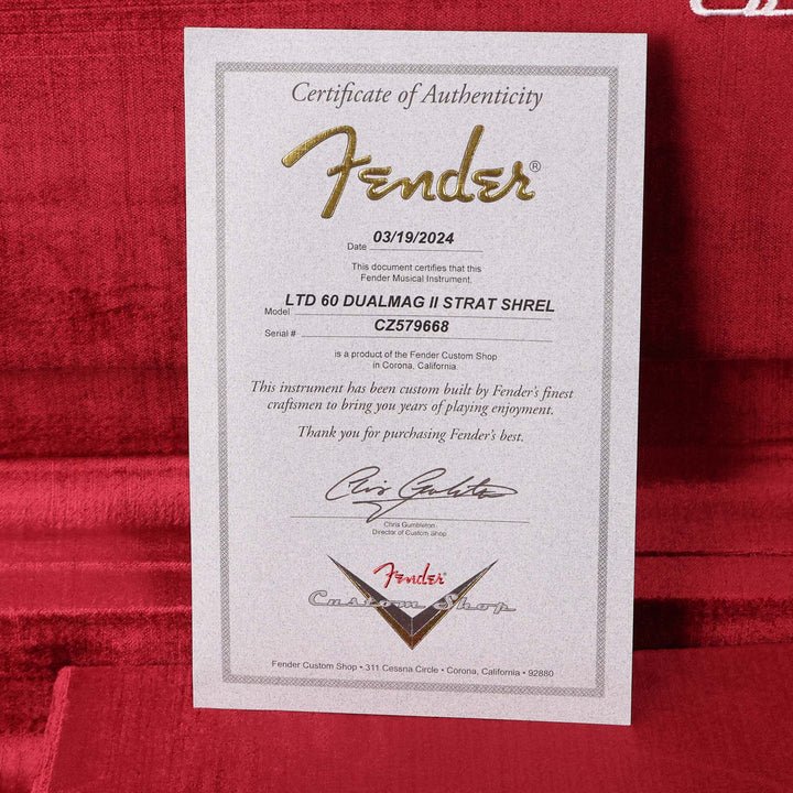 Fender Custom Shop Dual Mag II Stratocaster Super Heavy Relic Aged Seafoam Green