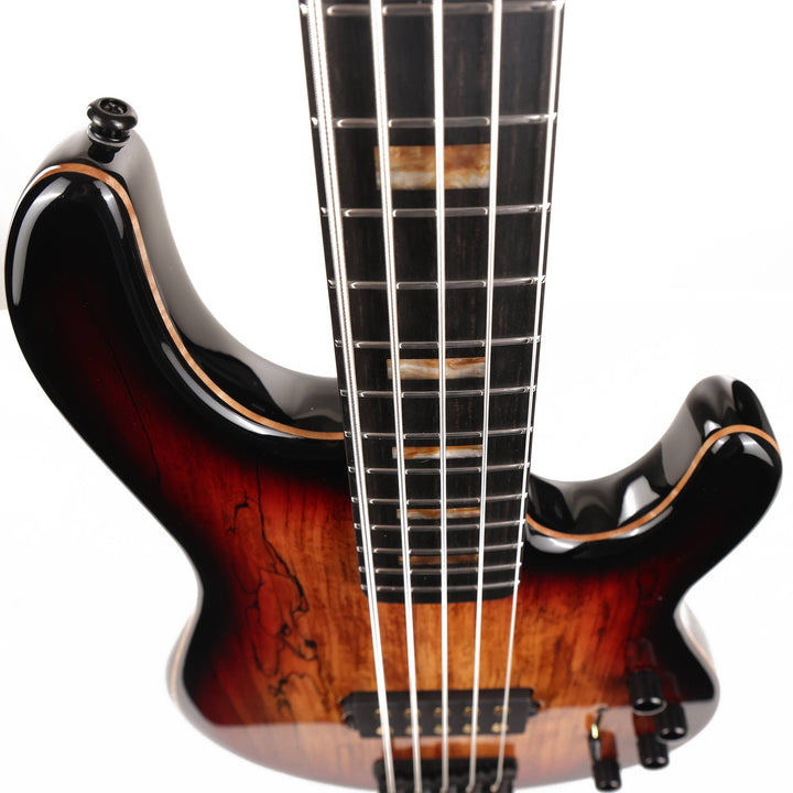 Ernie Ball Music Man 35th Anniversary StingRay 5 Bass Limited Edition Spalted Sunburst