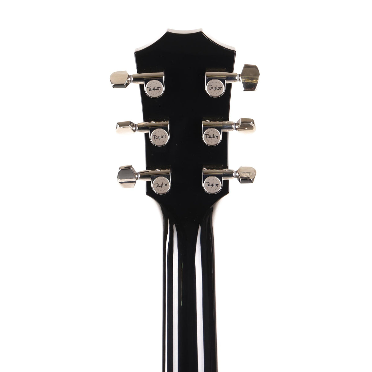 Taylor T5z Pro Harbor Blue Used — 7