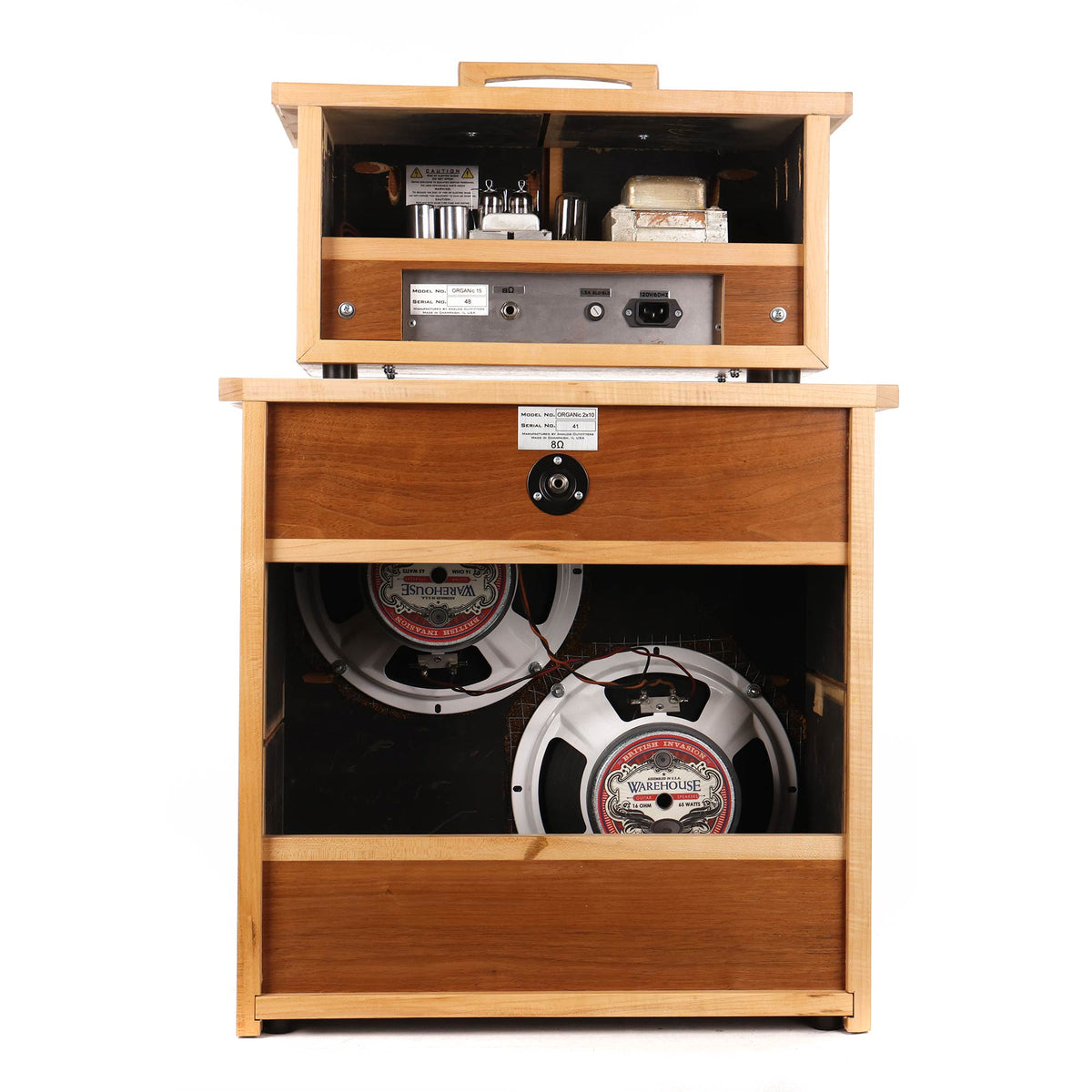 Analog Outfitters Organic 15 Amplifier and 2x10 Cabinet — 4