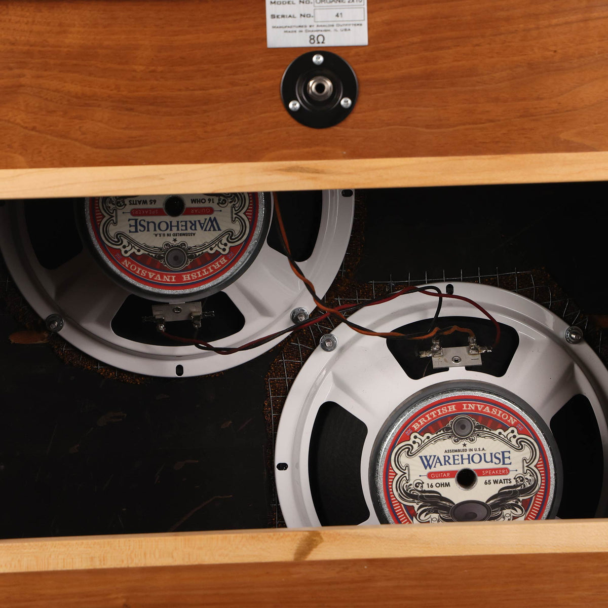 Analog Outfitters Organic 15 Amplifier and 2x10 Cabinet — 5