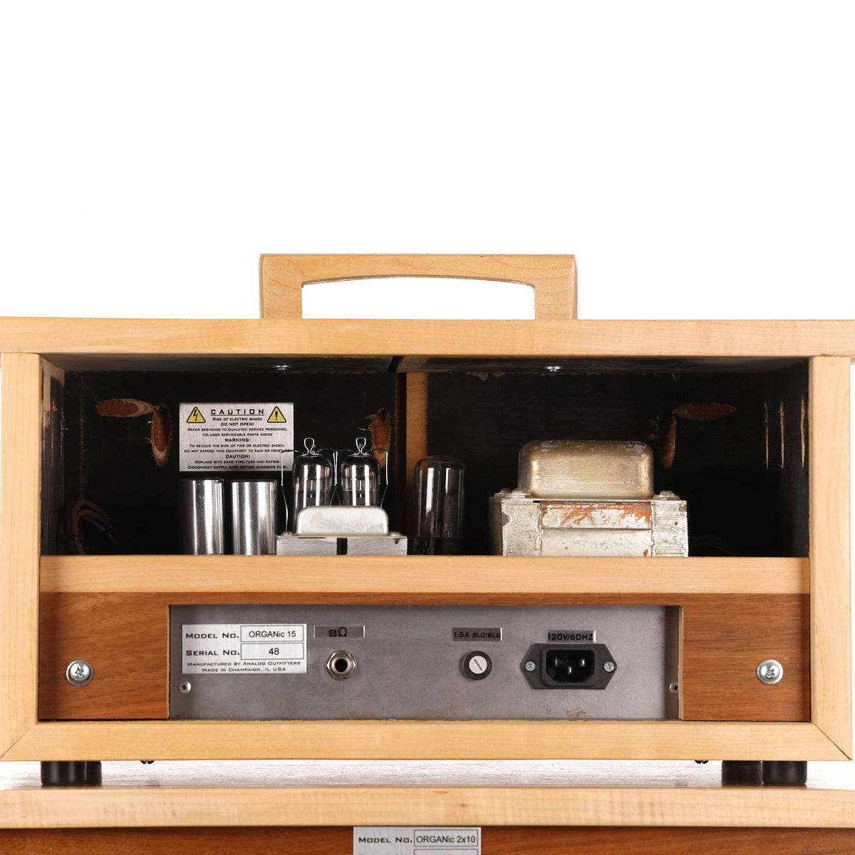 Analog Outfitters Organic 15 Amplifier and 2x10 Cabinet — 6