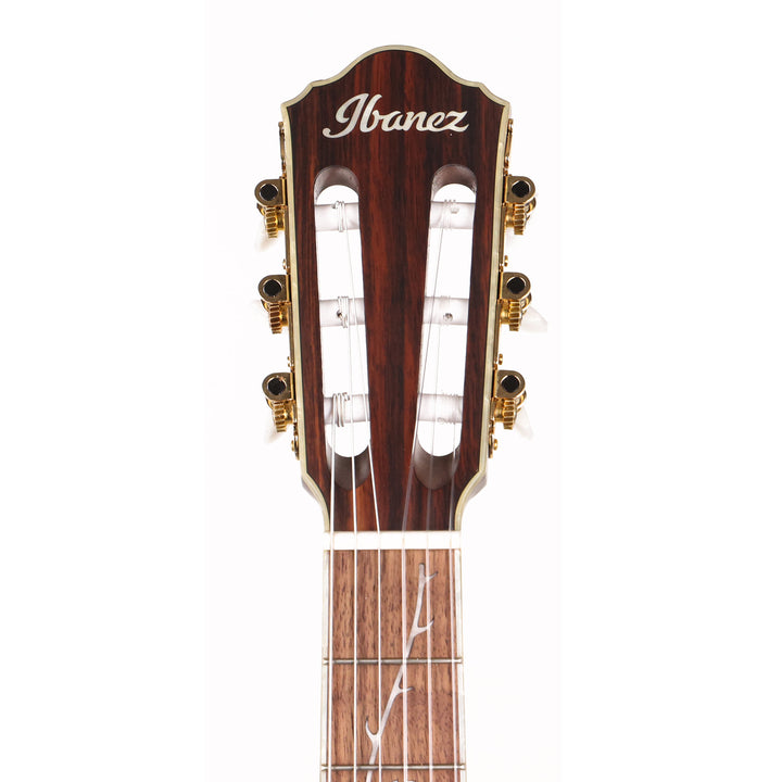 Ibanez TOD10N Tim Henson Signature Nylon Acoustic-Electric Transparent Black Flat Used