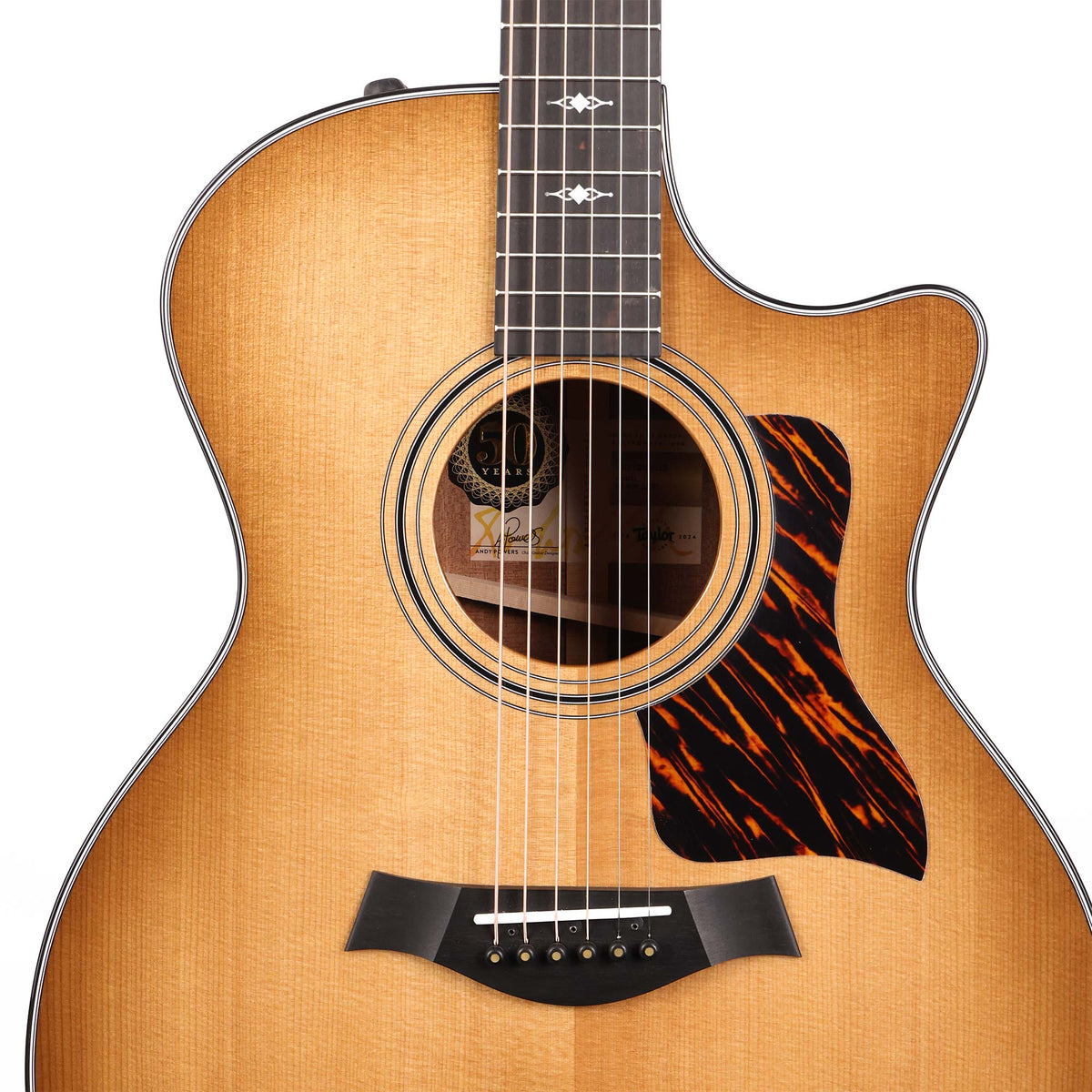 Taylor 50th Anniversary 314ce LTD Acoustic-Electric Shaded Edgeburst — 4