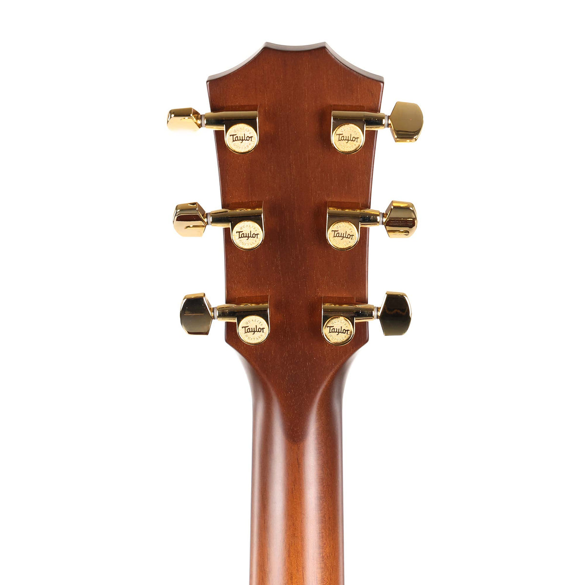 Taylor 50th Anniversary 314ce LTD Acoustic-Electric Shaded Edgeburst — 8