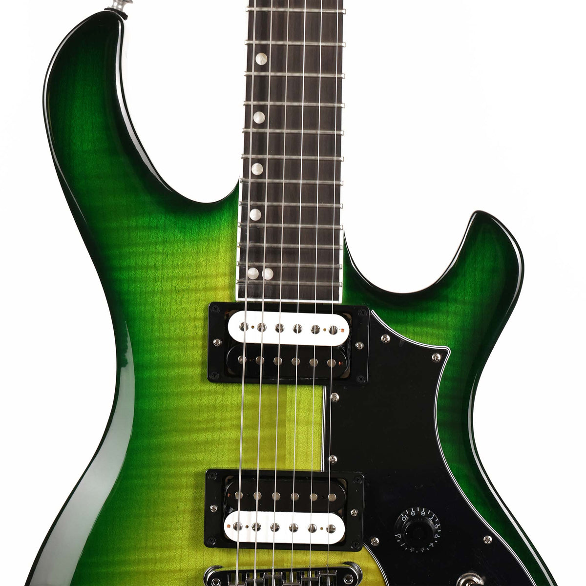 Gibson Victory Figured Top Iguana Burst — 4