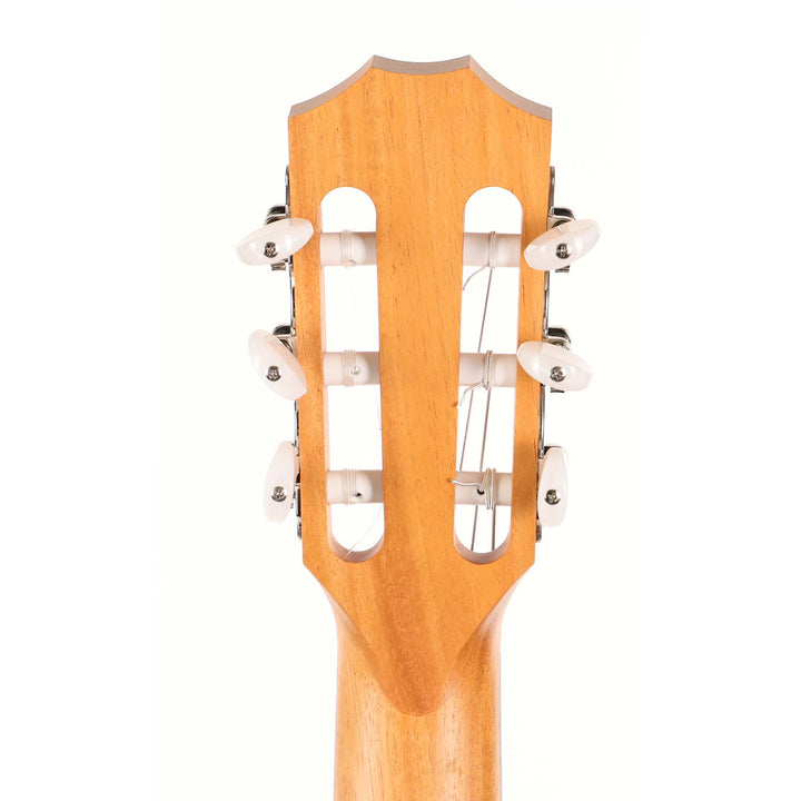 Taylor 214ce-N Grand Auditorium Acoustic-Electric Guitar