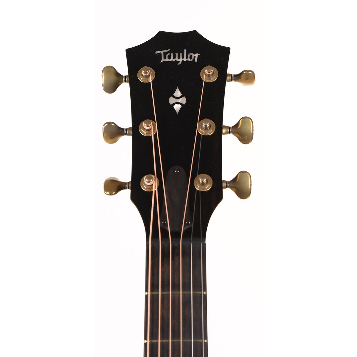 Taylor 50th Anniversary 314ce Builder's Edition Acoustic-Electric Natural — 7