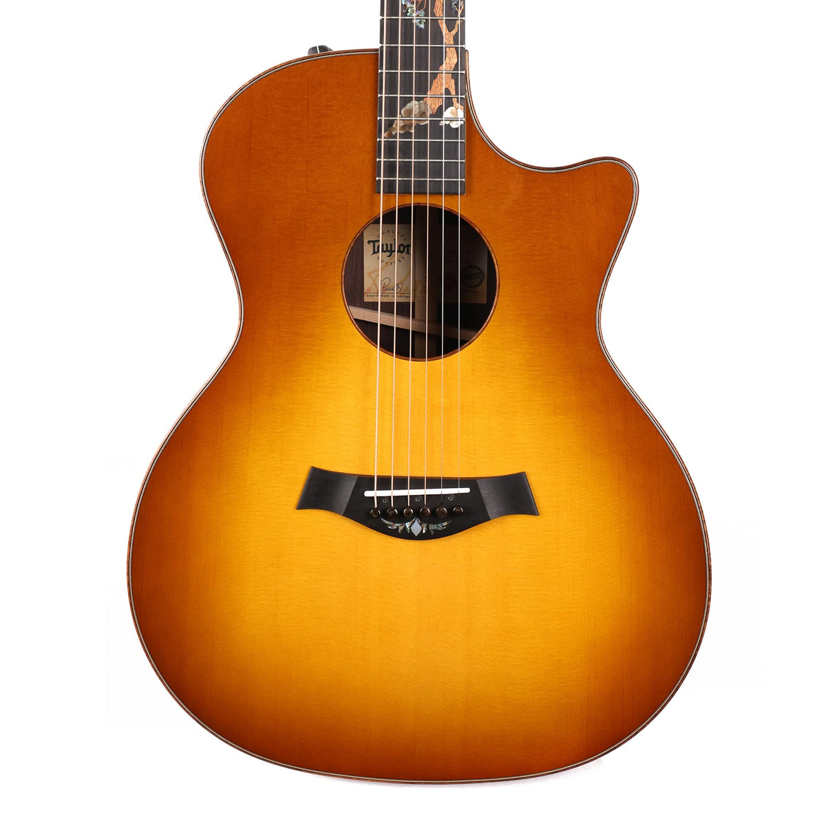 Taylor Custom Shop Catch Event Grand Auditorium Lutz Spruce and Indian Rosewood 2024 — 1