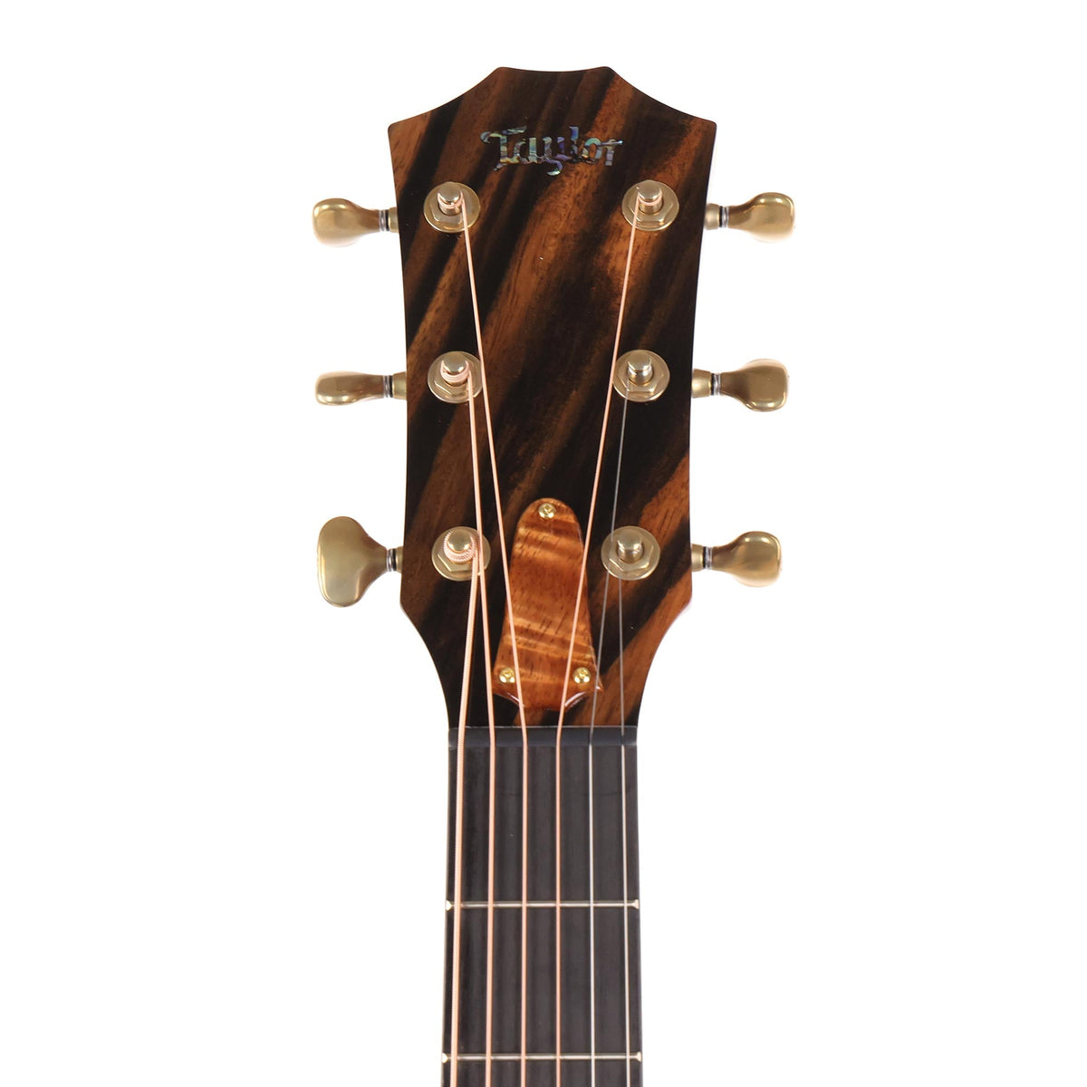 Taylor Custom Shop Catch Event Grand Auditorium Lutz Spruce and Indian Rosewood 2024 — 4