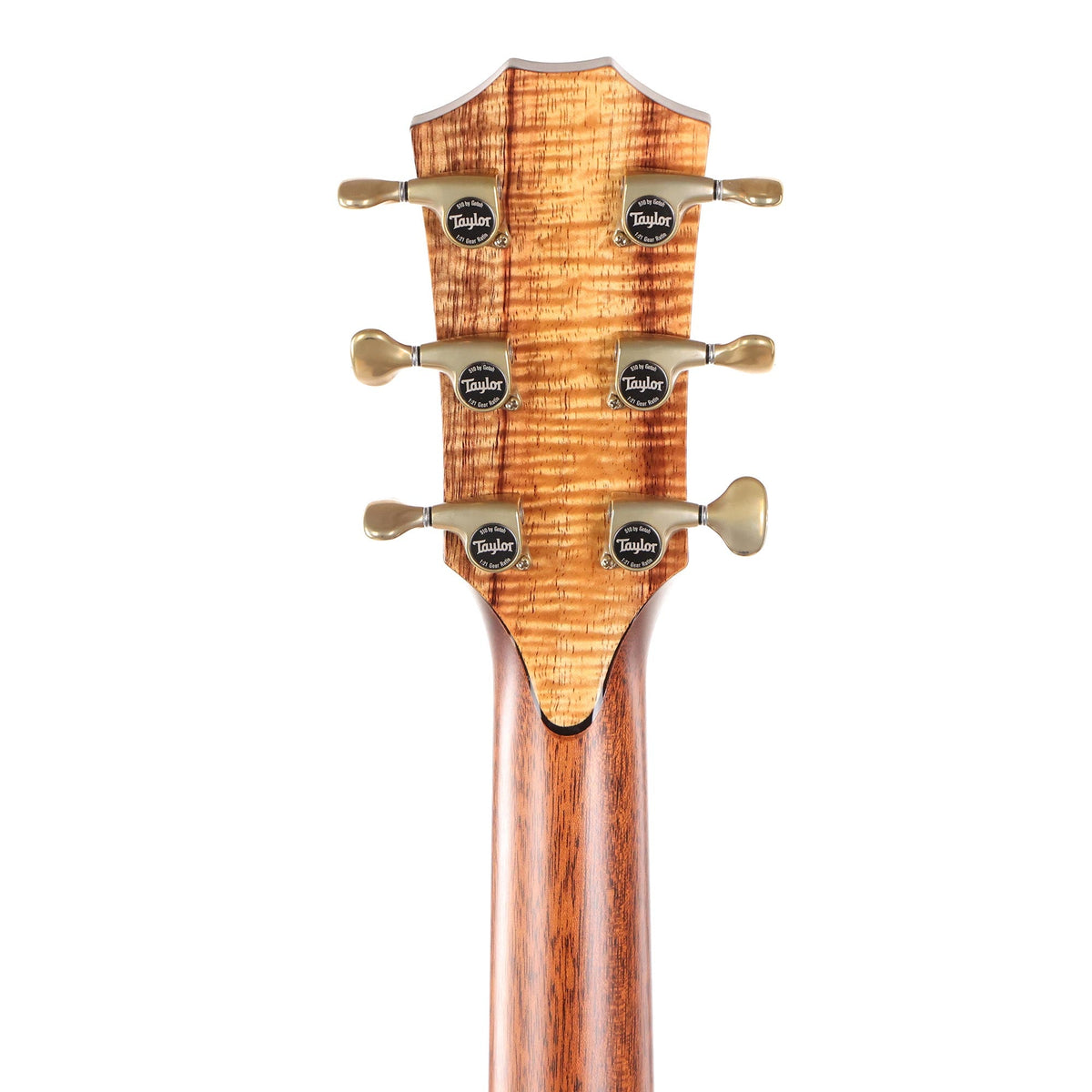 Taylor Custom Shop Catch Event Grand Auditorium Lutz Spruce and Indian Rosewood 2024 — 5