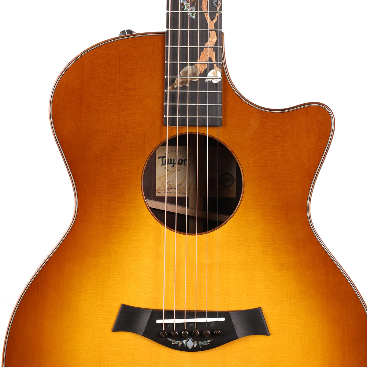 Taylor Custom Shop Catch Event Grand Auditorium Lutz Spruce and Indian Rosewood 2024 — 6