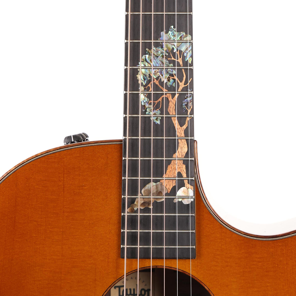Taylor Custom Shop Catch Event Grand Auditorium Lutz Spruce and Indian Rosewood 2024 — 9