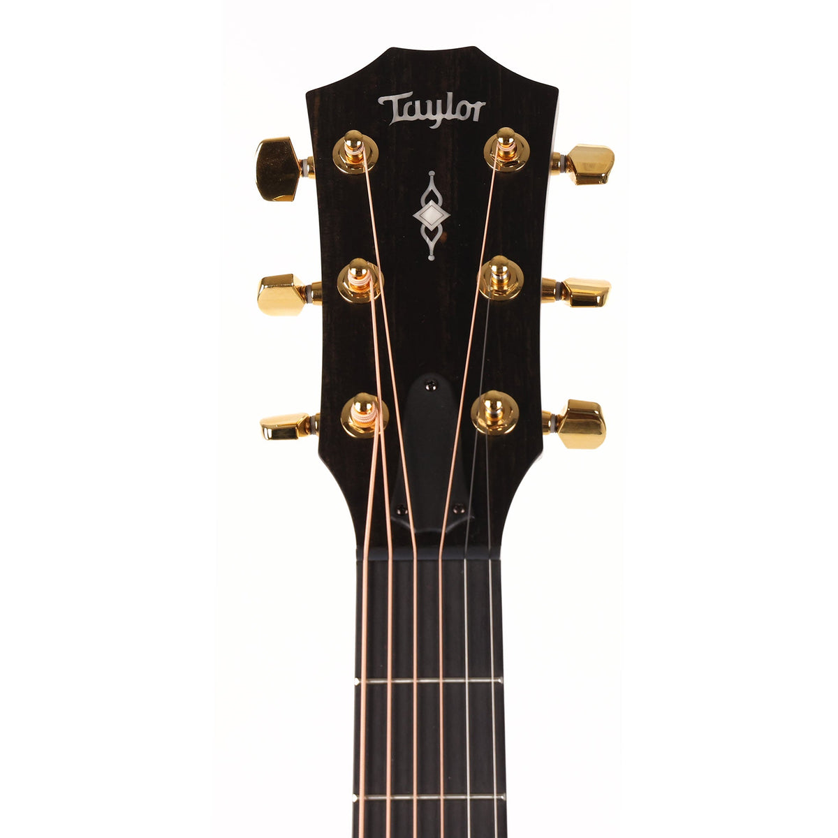 Taylor 50th Anniversary 314ce LTD Acoustic-Electric Shaded Edgeburst — 4