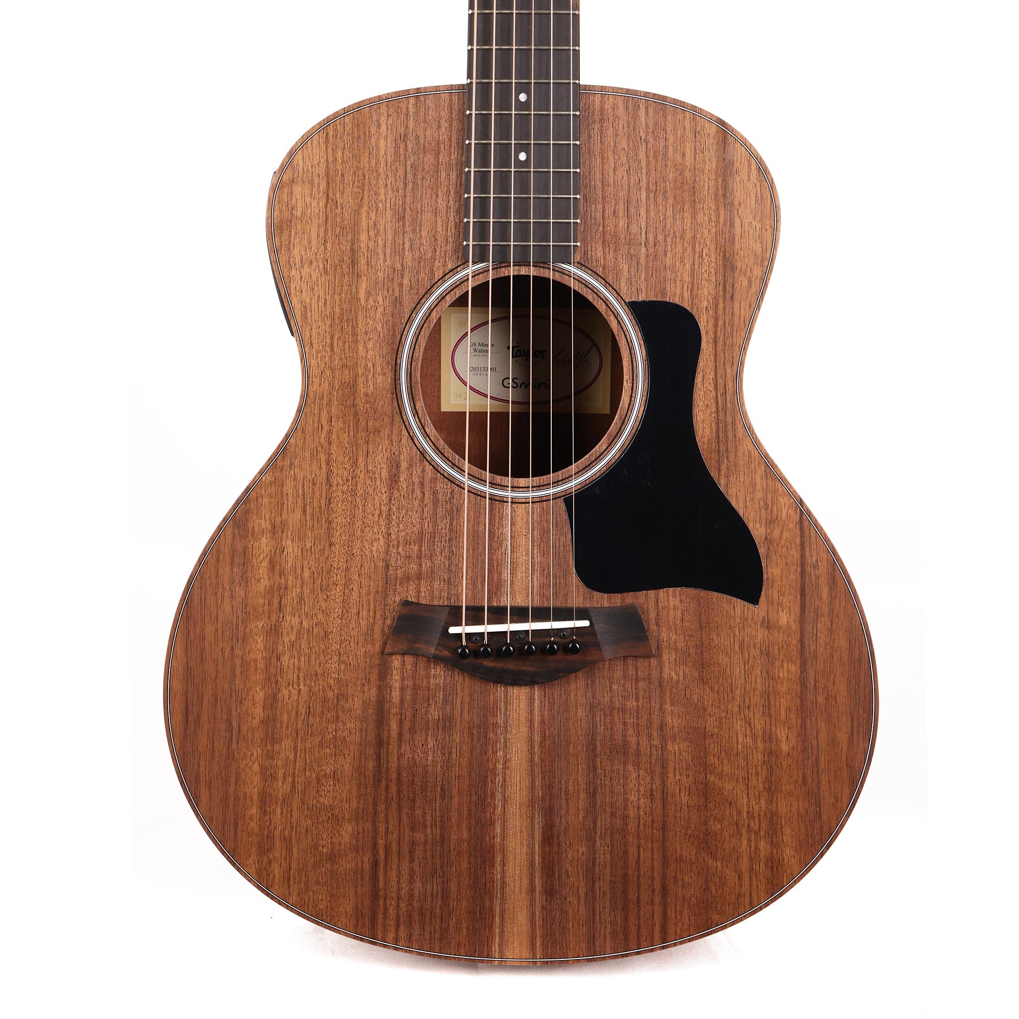 Taylor GS Mini-e Special Edition Prototype Acoustic-Electric 