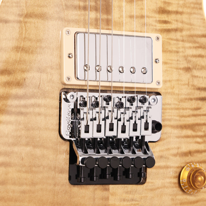 Gibson Custom Shop Les Paul Axcess Standard Figured Floyd Rose Gloss DC Rust